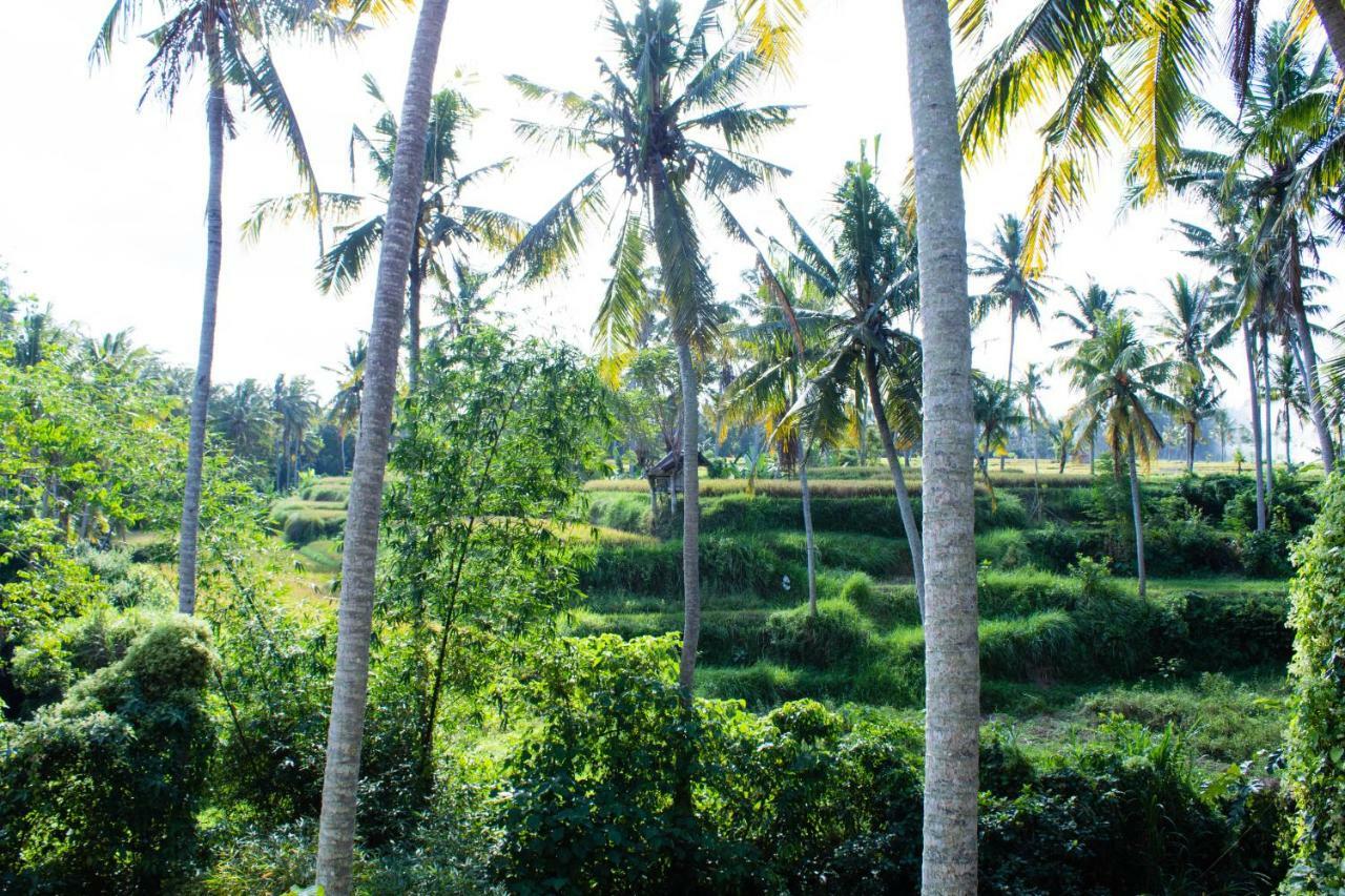 Alam Grigis Ubud ภายนอก รูปภาพ