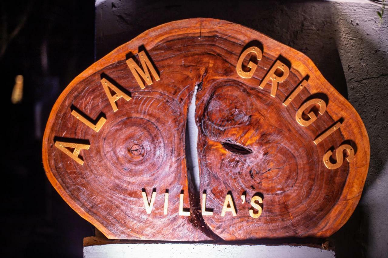 Alam Grigis Ubud ภายนอก รูปภาพ
